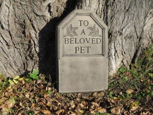 TO A BELOVED PET HEAD STONE